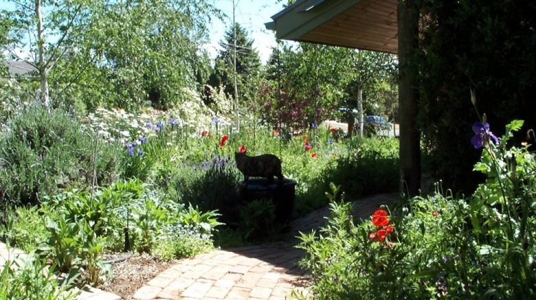 relaxed garden